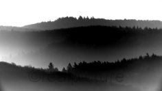 Tagesanbruch im hessischen Mittelgebirge.