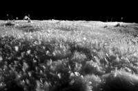 Eiskristalle formen ein Bild wie eine Mondlanschaft.