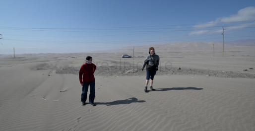 Stürmische Pazifikküste