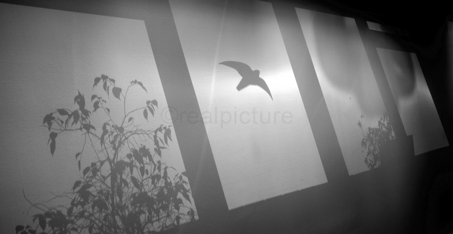 Kunstvolle Sonnenprojektion durch die Fenster eines Büros an die Raumdecke