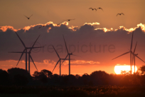 Sonnenaufgang in Emmelsbüll - Norddeutschland